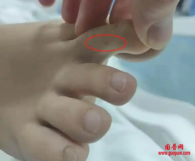 微信图片_20250606114207_副本.png