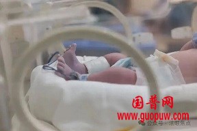 微信图片_20251215082632_1254_1.jpg 微信图片_20251215082632_1254_1.jpg